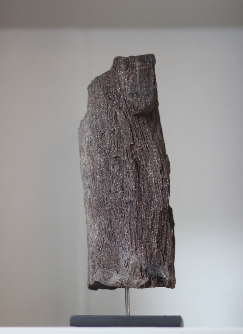 versteinertes holz, funkelnd auf beiden seiten