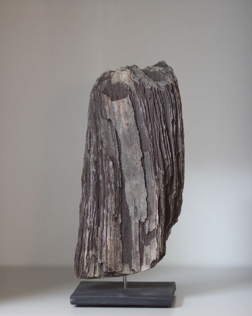 versteinertes holz, braun 