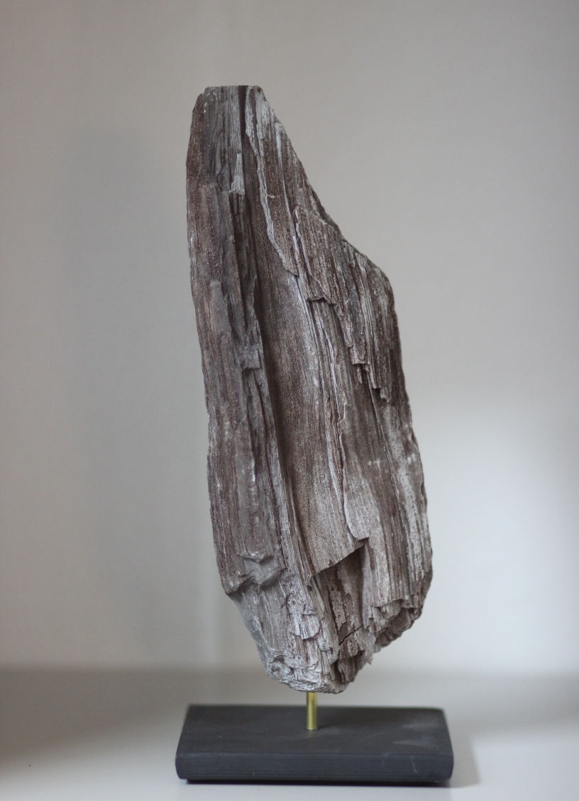 versteinertes holz, schwungvolle form
