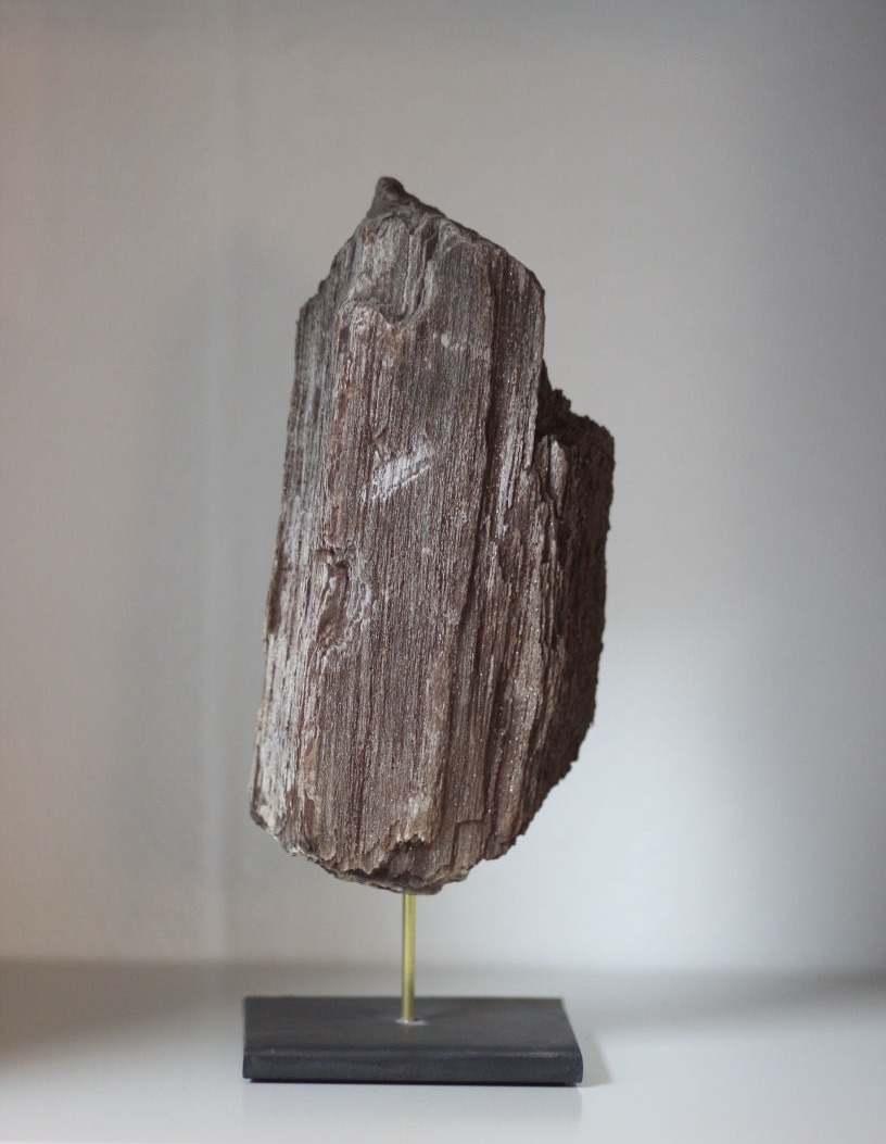 versteinertes holz, hoher fuß