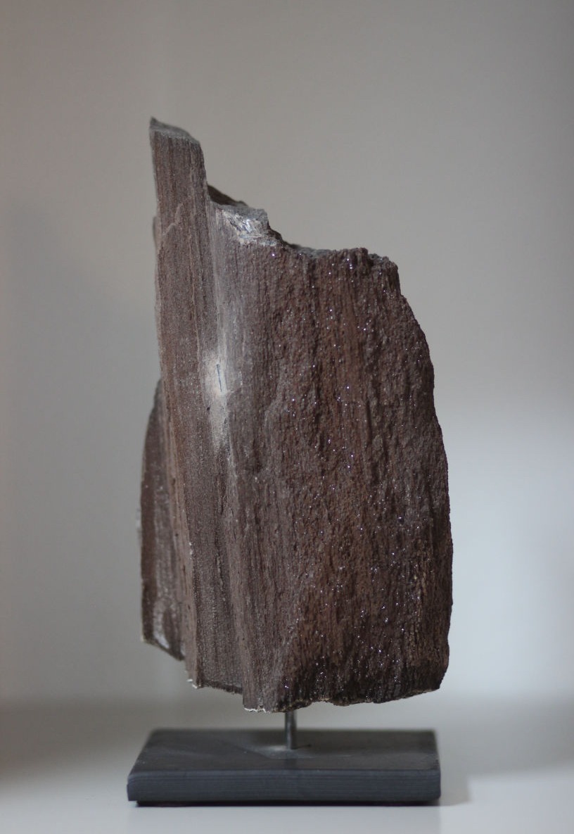 dunkelbraun mit weißem fleck und funkeln